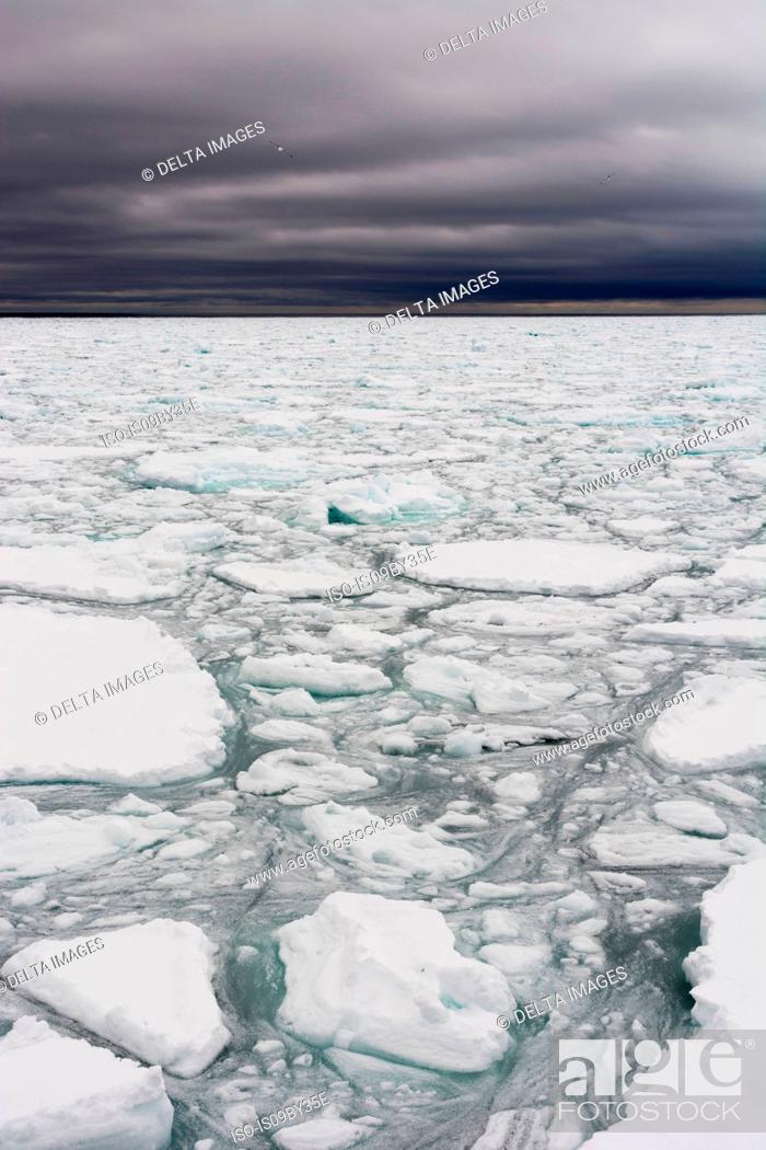 Stock Photo: Floating pieces of pack ice, Polar Ice Cap, 81north of Spitsbergen, Norway.