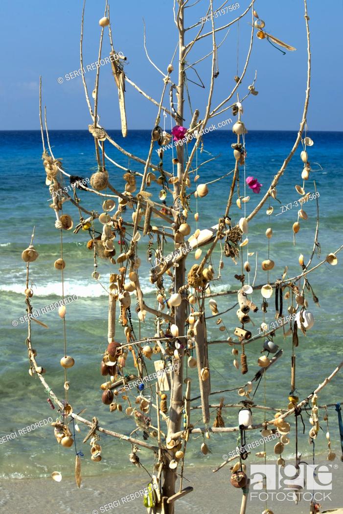 Stock Photo: Hyppy tree at Migjorn beach, Formentera, Balears Islands, Spain. Hotel Riu la Mola. Holiday makers, tourists, Platja de Migjorn, beach, Formentera, Pityuses.