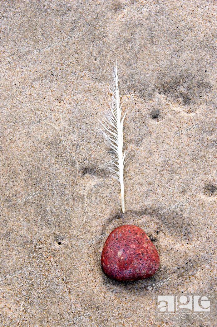 Stock Photo: Raggedy quill and red pebble stone in beach sand.