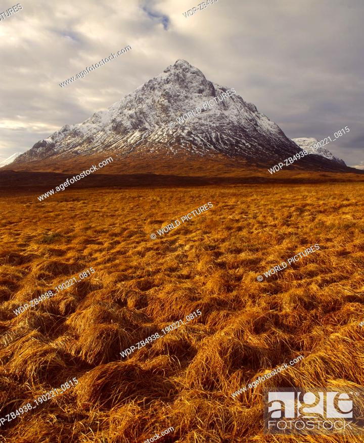 Stock Photo: Scotland, Highland, Lochaber, Buachaille Etive Mor. This mountain stands at the head of both Glen Coe and Glen Etive and on the edge of Rannoch Moor.