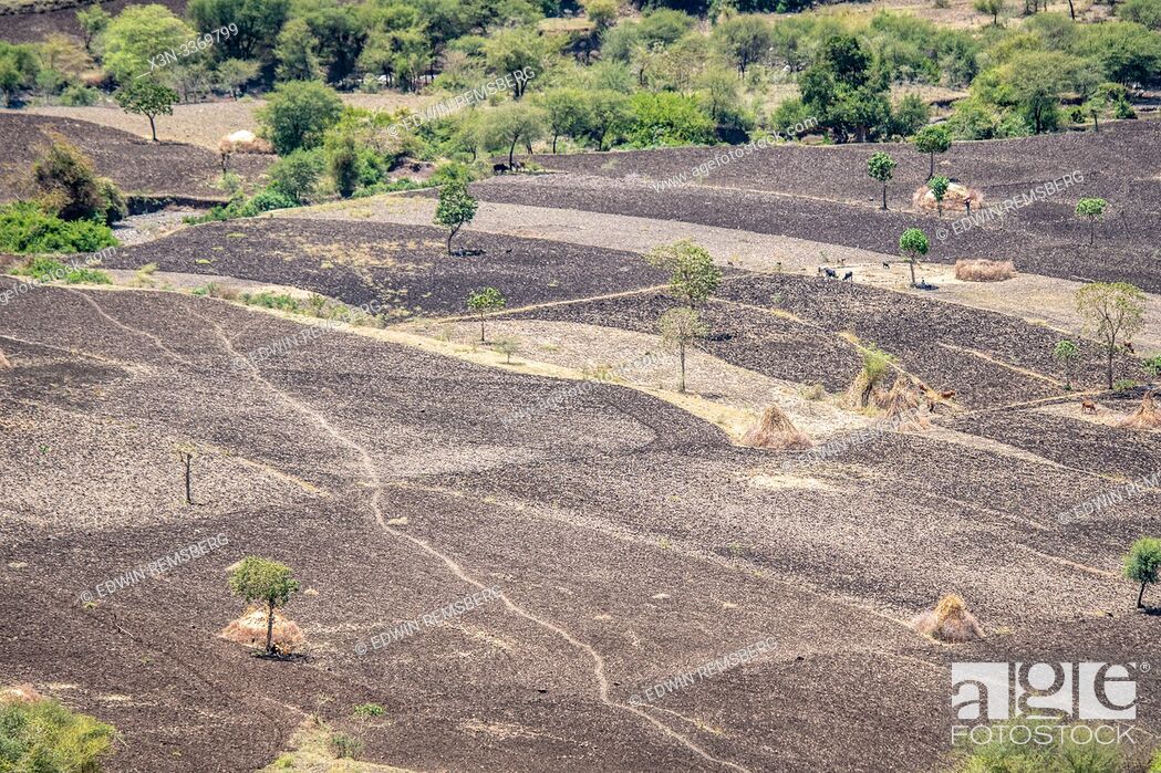 Imagen: Field spaces for farming near Debre Berhan, Ethiopia.
