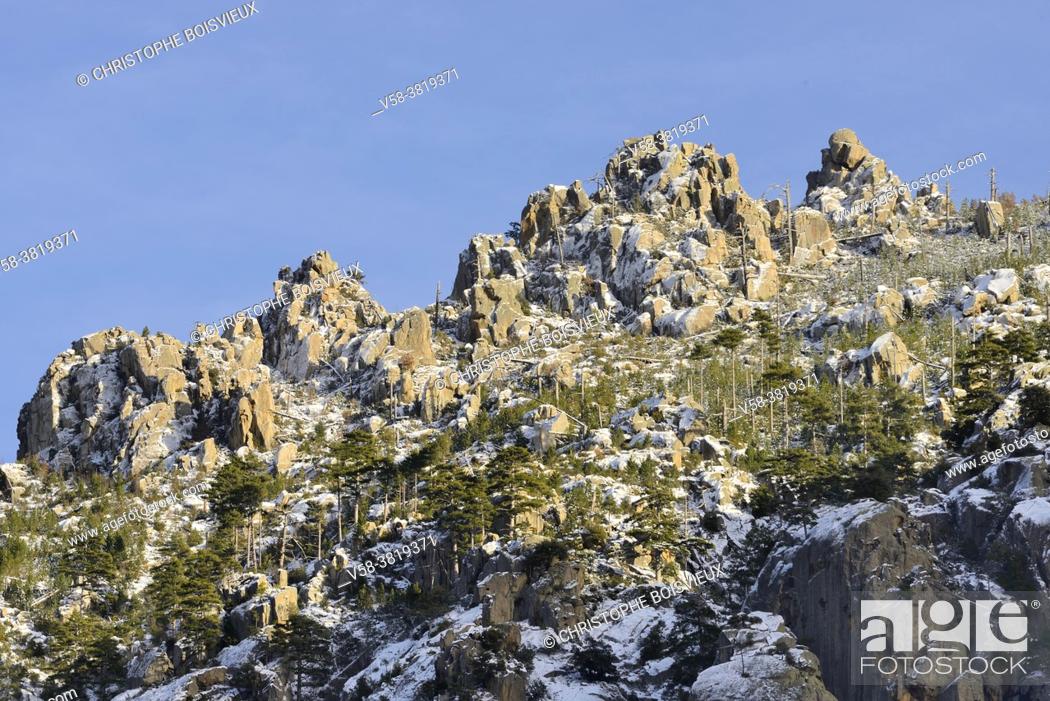 Stock Photo: France, Corsica, Haute-Corse, Restonica gorges in winter.