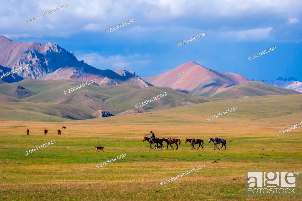 Stock Photo: SONG KUL, KYRGYZSTAN - AUGUST 11: Man riding and guiding horses over scenic landscape of Song Kul lake. August 2016.