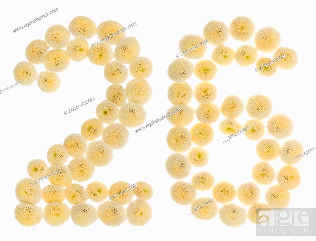 Imagen: Arabic numeral 26, twenty six, from cream flowers of chrysanthemum, isolated on white background.