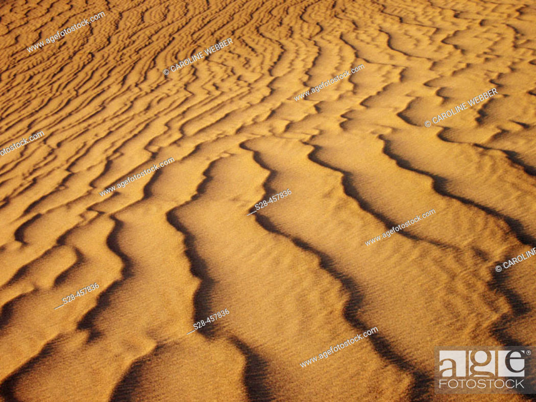 Imagen: Sand patterns, Death Valley dunes, CA, USA.