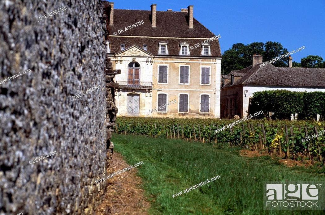 coat incident Prescription Glimpse of Chateau Marey-Monge, 1802, Chateau de Pommard, Burgundy, Stock  Photo, Picture And Rights Managed Image. Pic. DAE-A2004768 | agefotostock