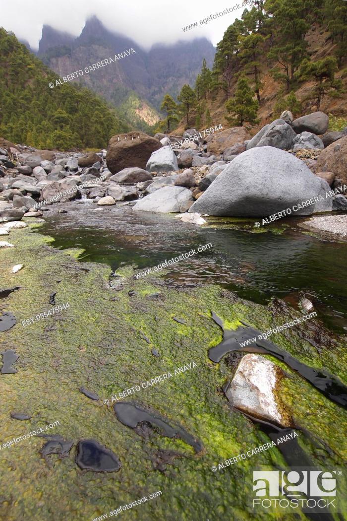 Stock Photo: Taburiente River, Caldera de Taburiente National Park, Biosphere Reserve, ZEPA, LIC, La Palma, Canary Islands, Spain, Europe.