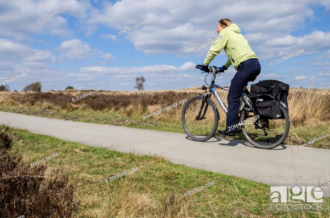 Stock Photo: Woman on a bike in the nature reserve Elspeetsche Heide.