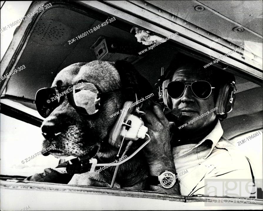 Stock Photo: 1972 - Diggles loves a Dogfight; Sunderland Flying Club boasts a very special honorary member. 5 year old Biggles, named after the famous flyer from children's.