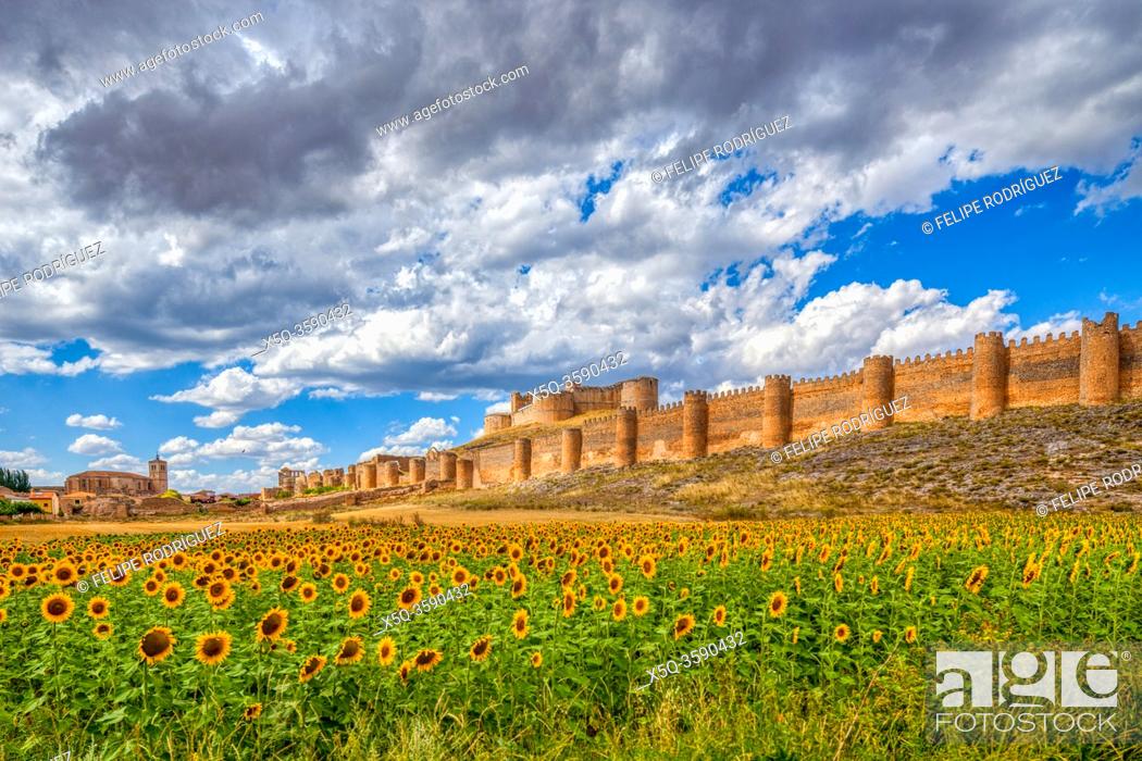 Stock Photo: Castle of Berlanga de Duero, province of Soria, Spain.