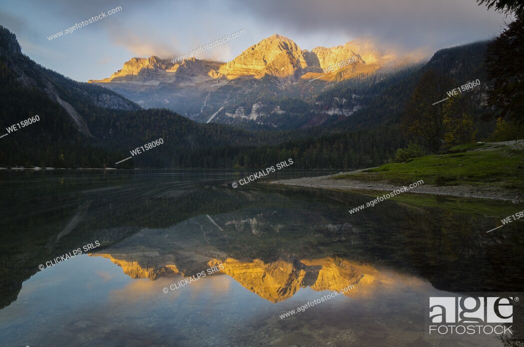 Stock Photo: Lake Tovel, Tuenno, Park Adamello Brenta, Trento, Italy, Europe.