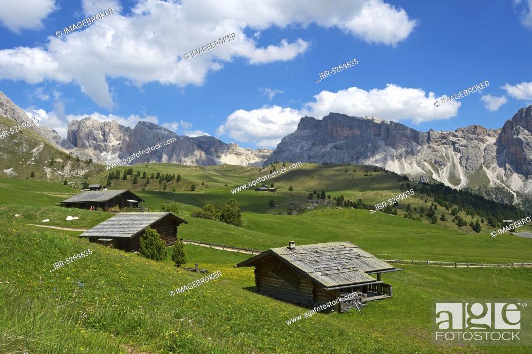 Photo de stock: Alpine pasture on the Seceda, Val Gardena, Dolomites, Trentino South Tyrol, Italy, Europe.