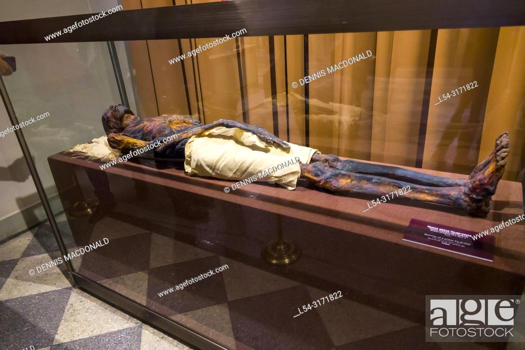 Stock Photo: Mummy of a priest State Hermitage Museum St saint Petersburg, Russian, Sankt Peterburg, formerly (1914â. “24) Petrograd and (1924â.