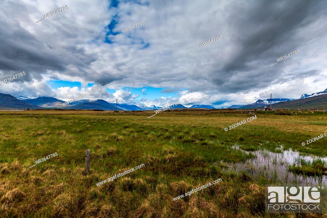 Imagen: green swampy meadow with a cloudy sky and mountains in the background on Iceland.