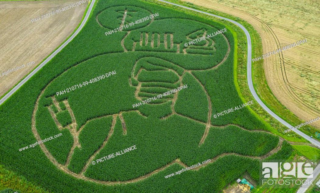 Photo de stock: 16 July 2021, North Rhine-Westphalia, Selm: Farmer Benedikt Lünemann milled a giant maze into his cornfield with a silhouette of a Corona vaccination operation.