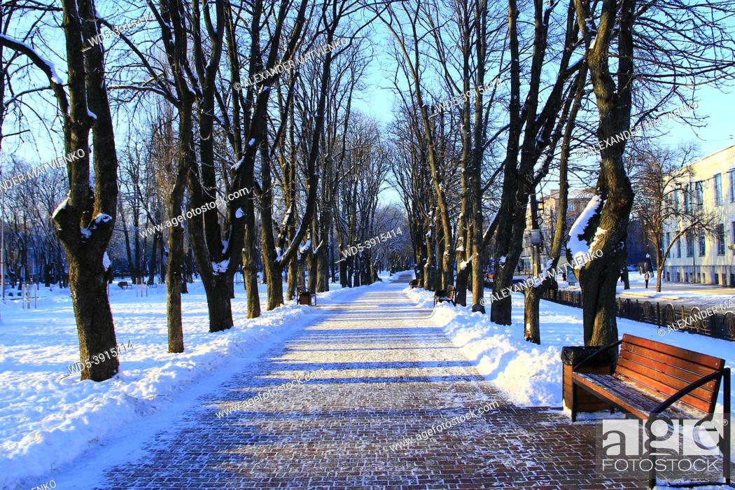 Photo de stock: a bench in the cold winter city park.
