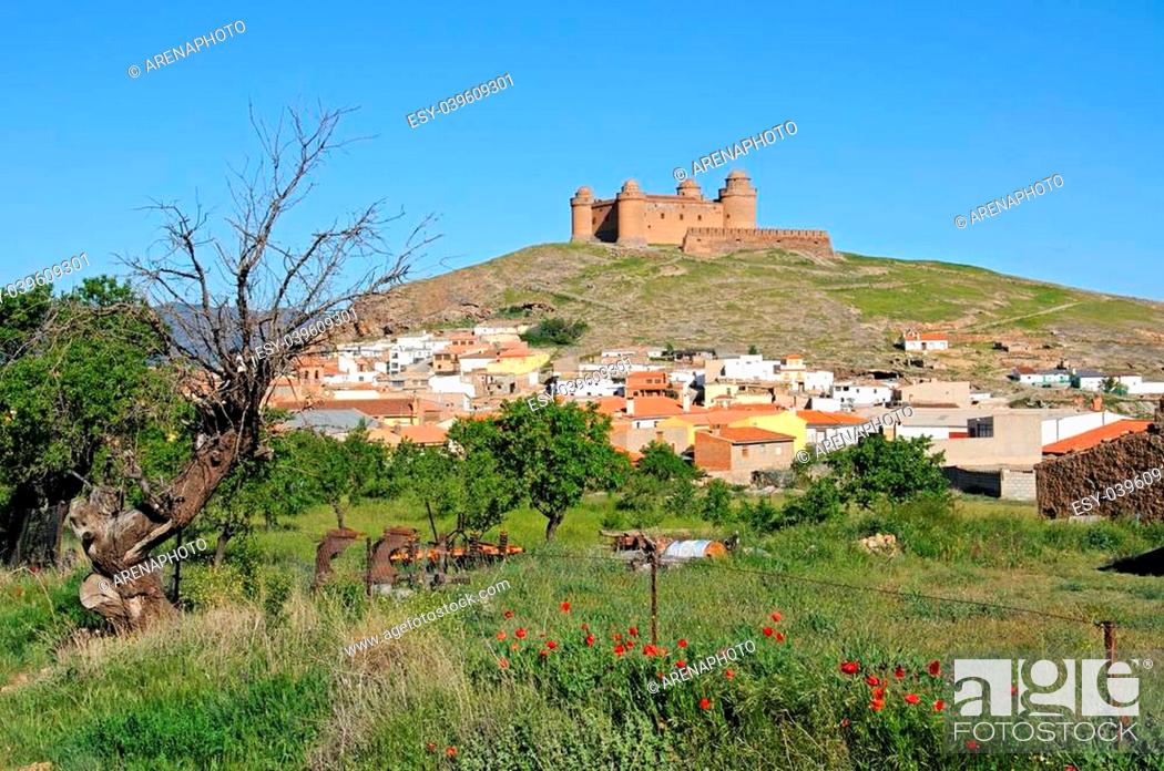 Stock Photo: View of the castle (Castillo de La Calahorra) and town with poppies in the foreground, Lacalahorra, Granada Province, Andalucia, Spain.