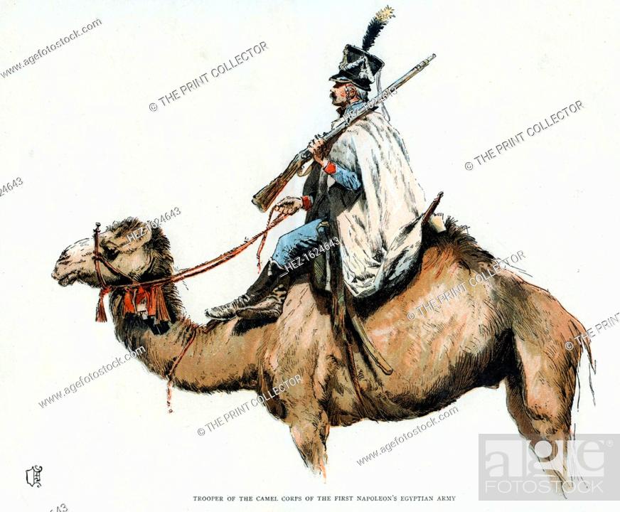 Egypt & Sudan 1882 Summer Dress Egyptian Camel Corps Armies In Plastic 5624 