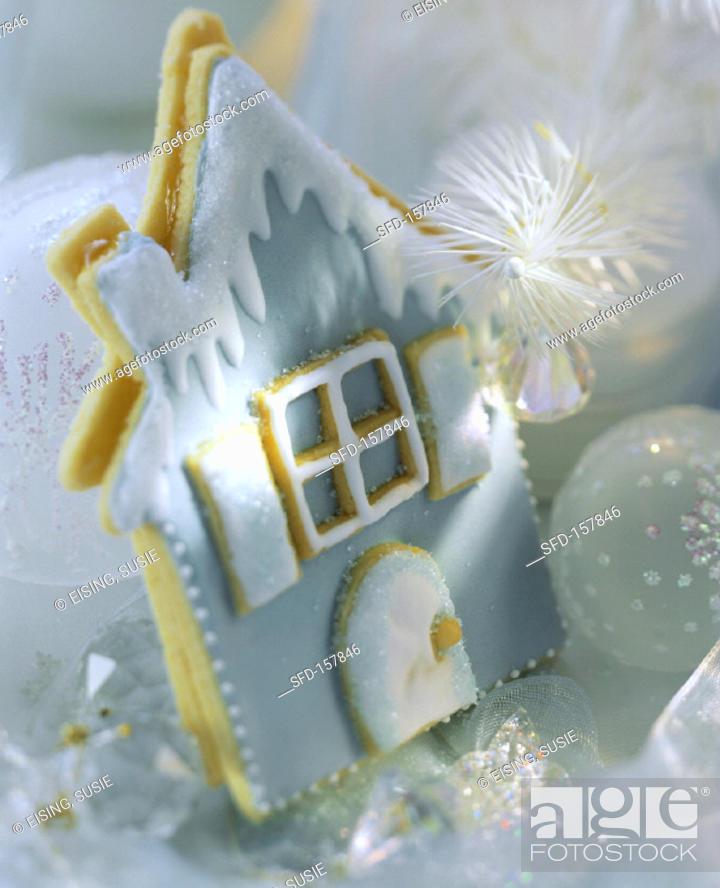 Stock Photo: Winter House Cookie.