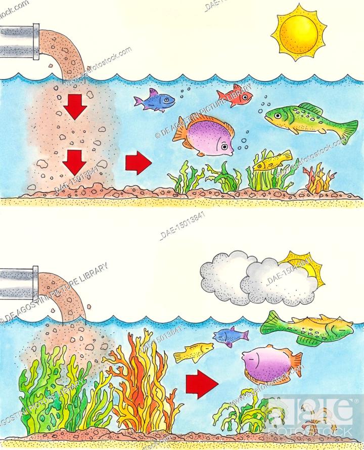 water pollution drawing | Save water drawing, Save water poster, Water  drawing-cacanhphuclong.com.vn