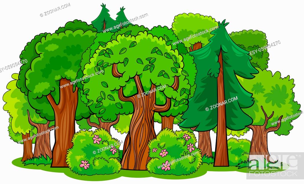 Cartoon Illustration of mixed Forest with Deciduous and Coniferous Trees,  Stock Photo, Picture And Low Budget Royalty Free Image. Pic. ESY-059054270  | agefotostock