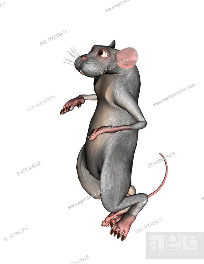 Cartoon big grey rat, 3d rendered illustration, Stock Photo, Picture And  Low Budget Royalty Free Image. Pic. ESY-056123676 | agefotostock