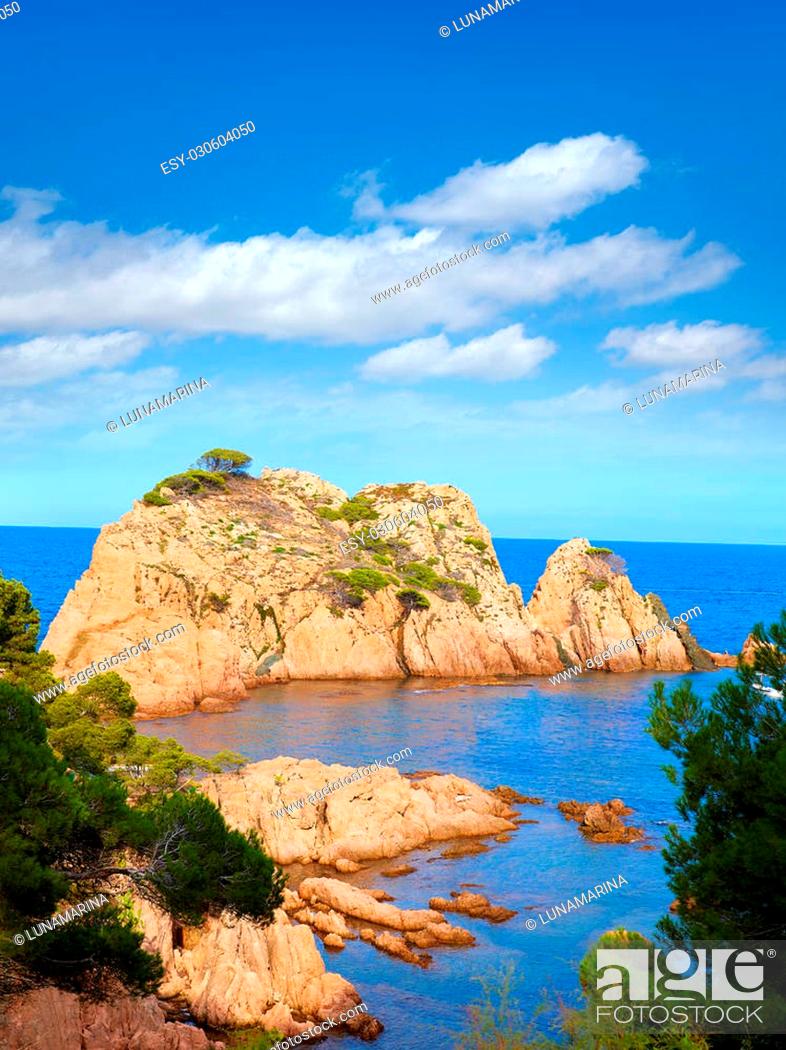 Stock Photo: Aigua Xelida beach Cala in Tamariu Parafrugell of Girona at Catalonia Spain.