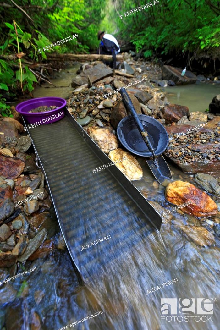 Stock Photo: Recreational gold panning on a creek in the Cariboo, near Wells, British Columbia.