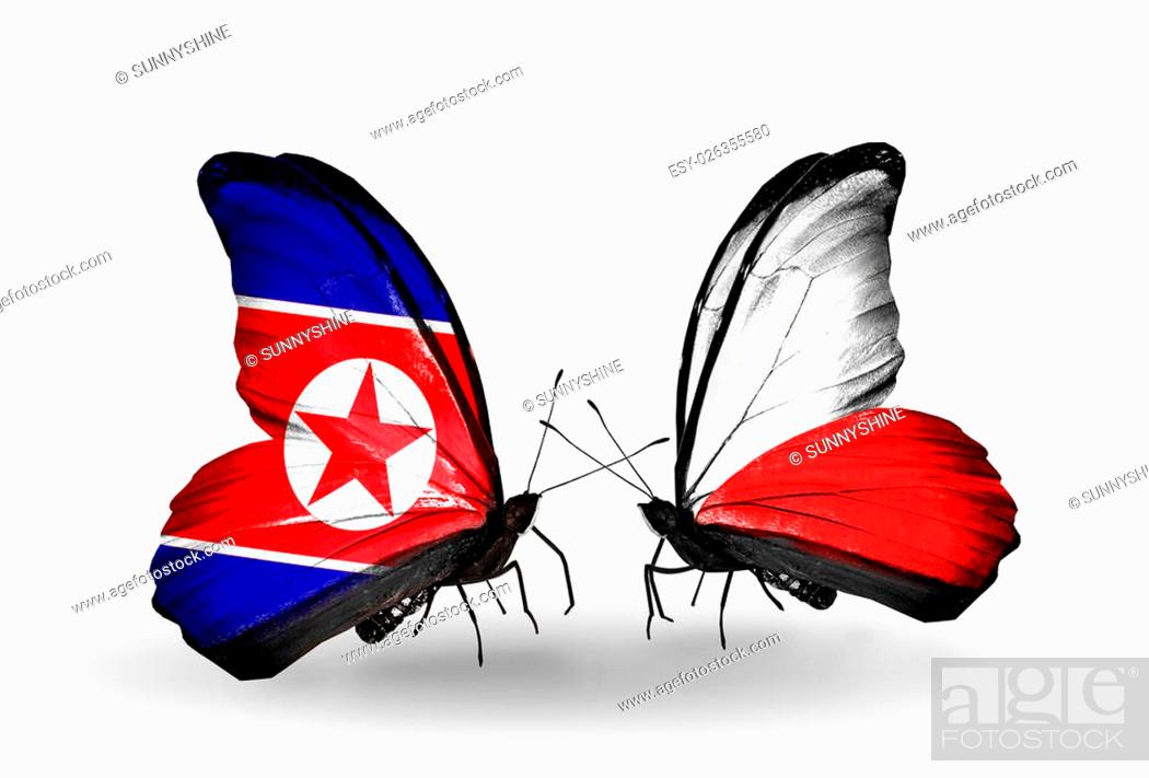 Photo de stock: Two butterflies with flags on wings as symbol of relations North Korea and Poland.