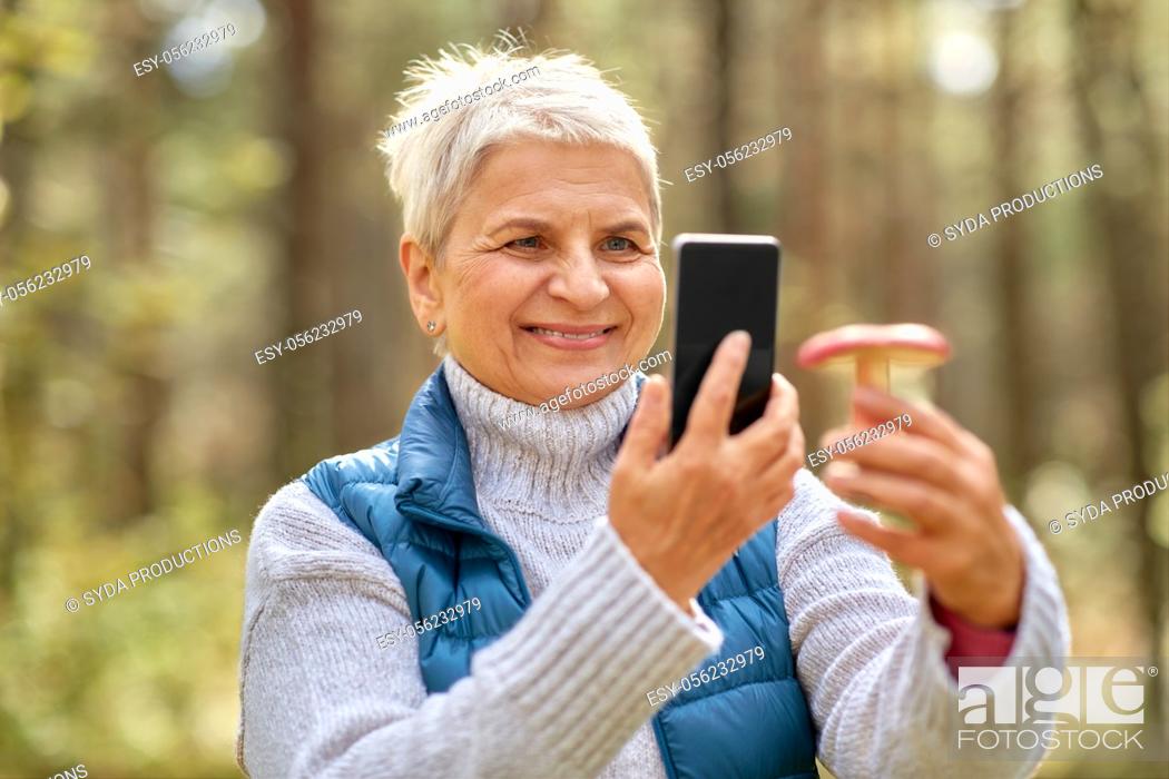 Photo de stock: senior woman using smartphone to identify mushroom.
