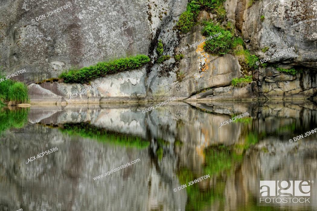 Stock Photo: Rock outcrops and vegetation fernsreflected in the Whitefish River, Whitefish Falls, Ontario, Canada.