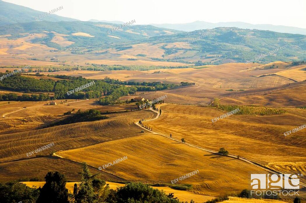 Stock Photo: Typical Tuscan landscape at sunset in Val d? Orcia.