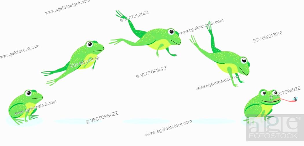 Animated process of frogs leaps sequence. Cartoon toad jumping for prey,  Stock Vector, Vector And Low Budget Royalty Free Image. Pic. ESY-062213018  | agefotostock