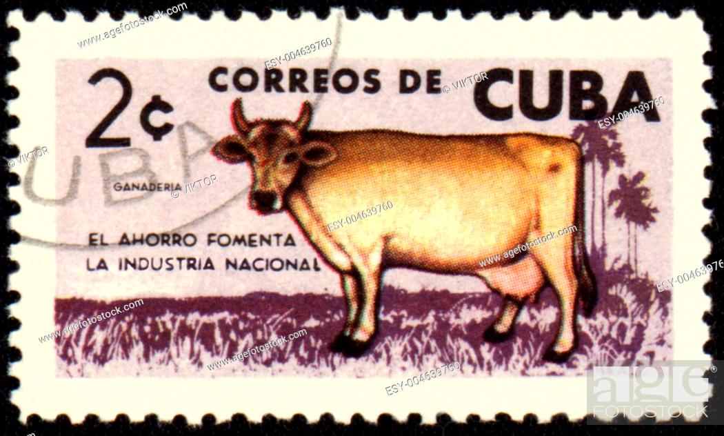 Stock Photo: Cow on post stamp.