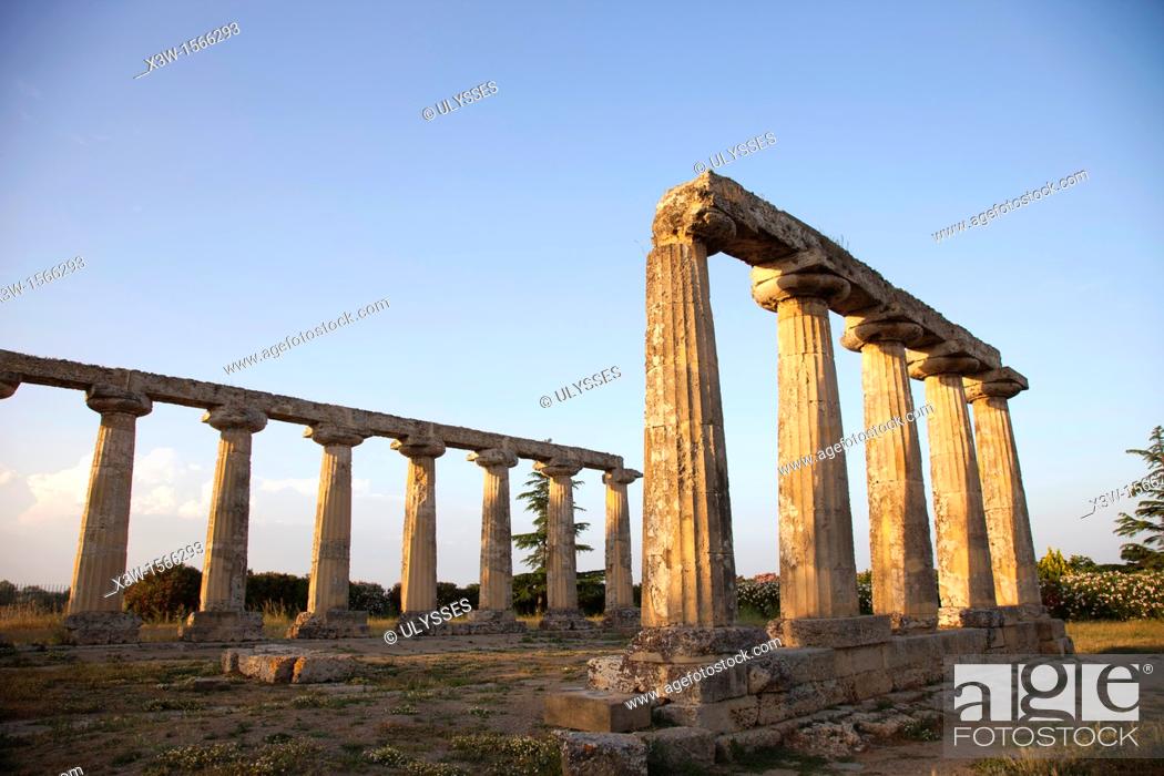 Stock Photo: doric temple, sanctuary of hera, palatine tables, archaeological site of metaponto, bernalda, province of matera, basilicata, italy, europe.