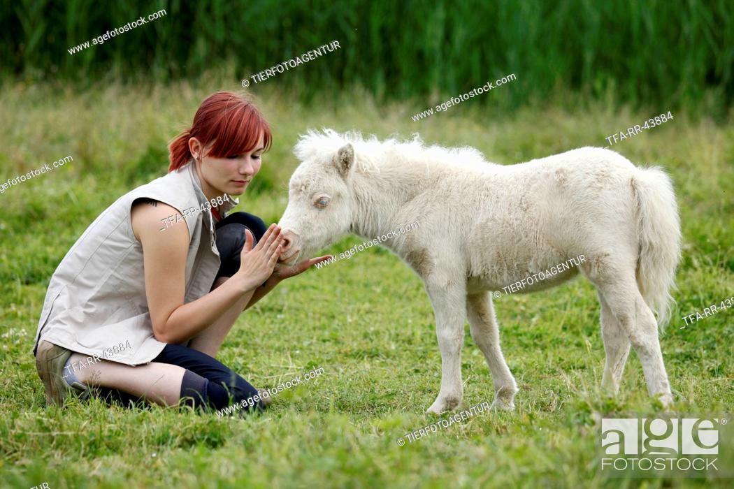 Photo de stock: woman and Miniature Shetland Pony foal.