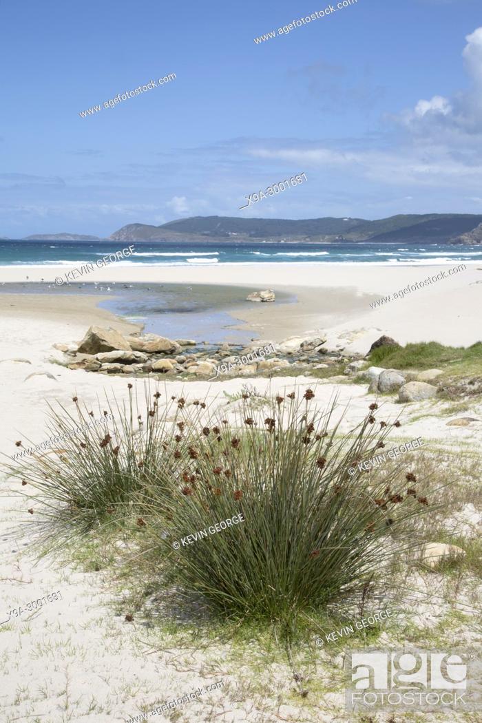 Stock Photo: Rostro Beach; Finisterre; Costa de la Muerte; Galicia; Spain.