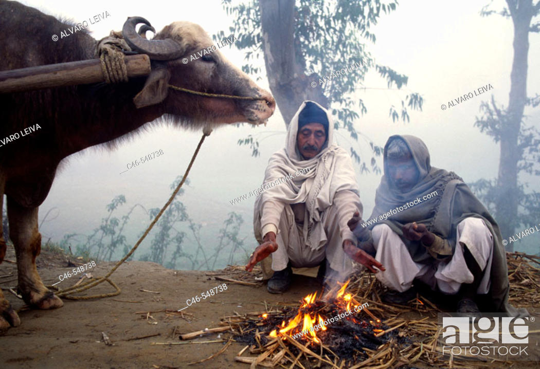 Stock Photo: Farmers at dawn, Haridwar. Uttaranchal, India.
