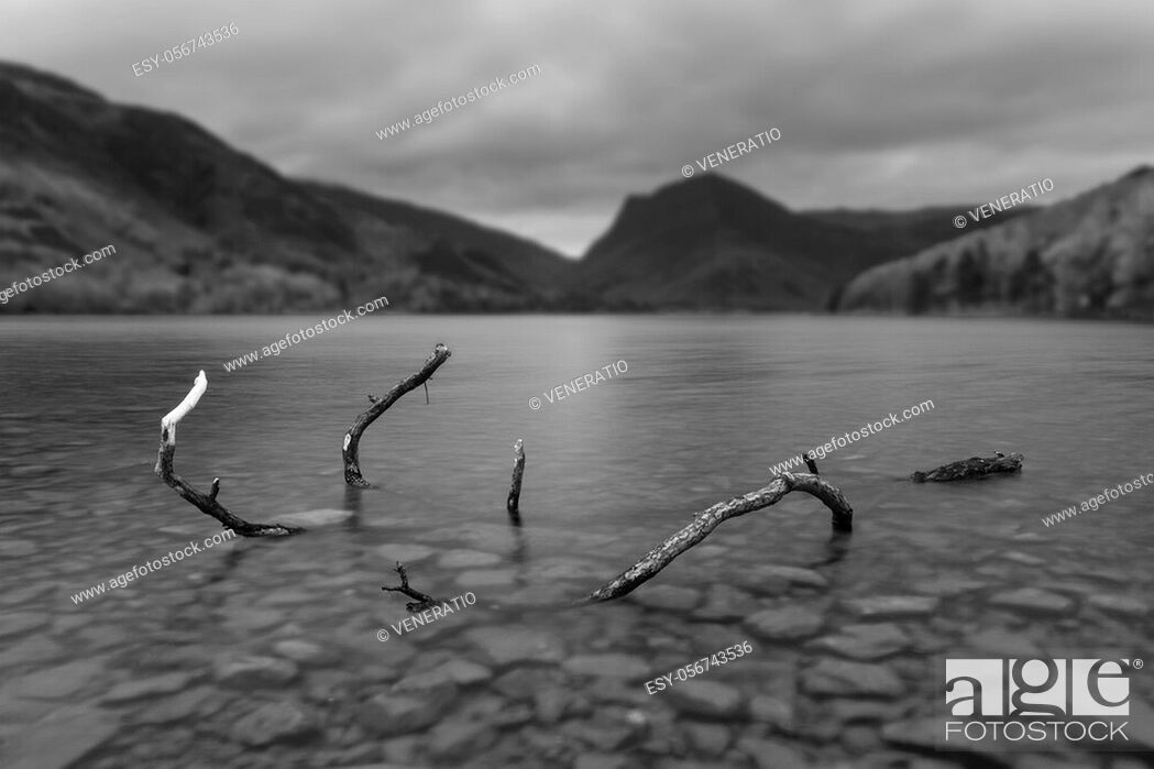 Stock Photo: Beautiful black and white Autumn Fall landscape image of dead branch in Buttermere in Lake District.