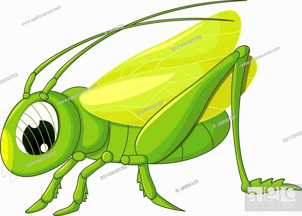 vector illustration of cute grasshopper cartoon, Stock Vector, Vector And  Low Budget Royalty Free Image. Pic. ESY-036323702 | agefotostock
