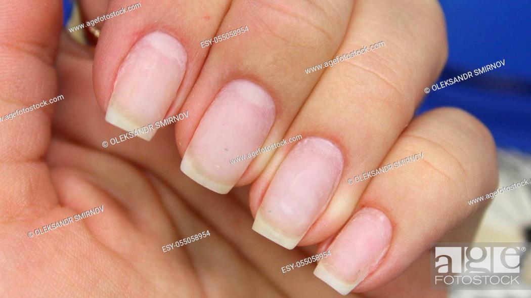stylish design of manicure on long beautiful nails, Stock Photo, Picture  And Low Budget Royalty Free Image. Pic. ESY-055058954 | agefotostock