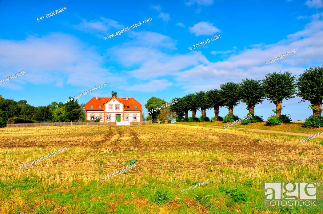 Stock Photo: Poel Einhusen - an old villa with a lime tree avenue on the island of Poel in Germany.