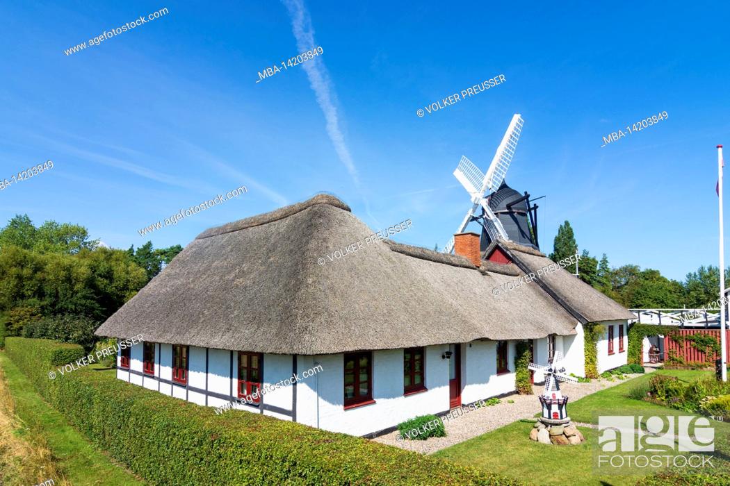 Stock Photo: Guldborgsund, thatched-roof house, windmill in Falster, Denmark.
