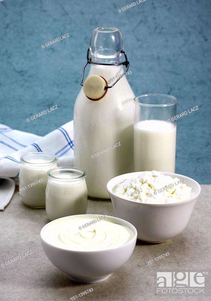 Stock Photo: Dairy Produce, Bowls with Soft Cheese and Heavy Cream, Yogurt and Milk.