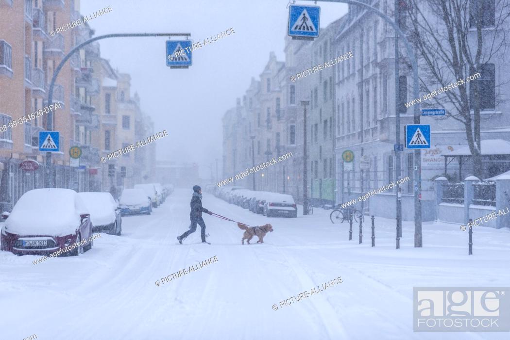 Stock Photo: 07 February 2021, Saxony-Anhalt, Magdeburg: A woman walks with her dog along a snow-covered pedestrian path. Due to the weather conditions with snowfall and.