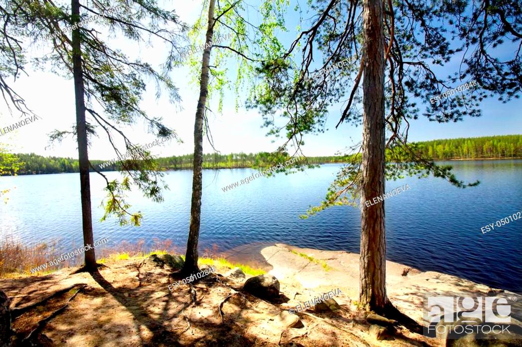 Stock Photo: Beautiful lake in the national park Repovesi, Finland, South Karelia.
