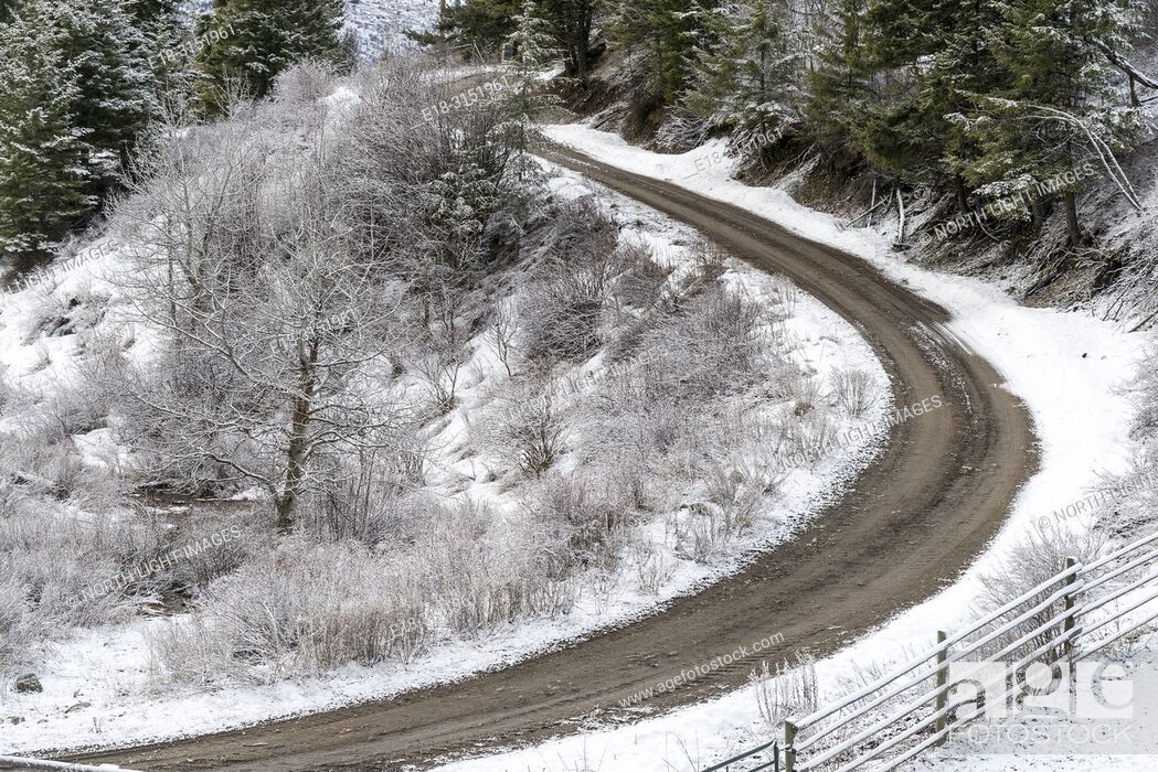 Stock Photo: Canada, BC, Bridesville. Overhead view of curving dirt road surrounded by snowy landscape.