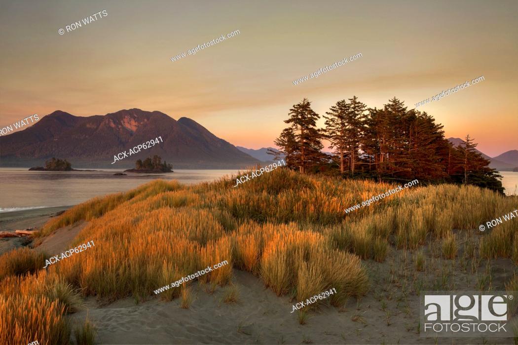 Stock Photo: Dusk descends on Whaler Islet with the coastal mountains of Vancouver Island and Flores Island in the background. Clayoquot Sound, British Columbia, Canada.