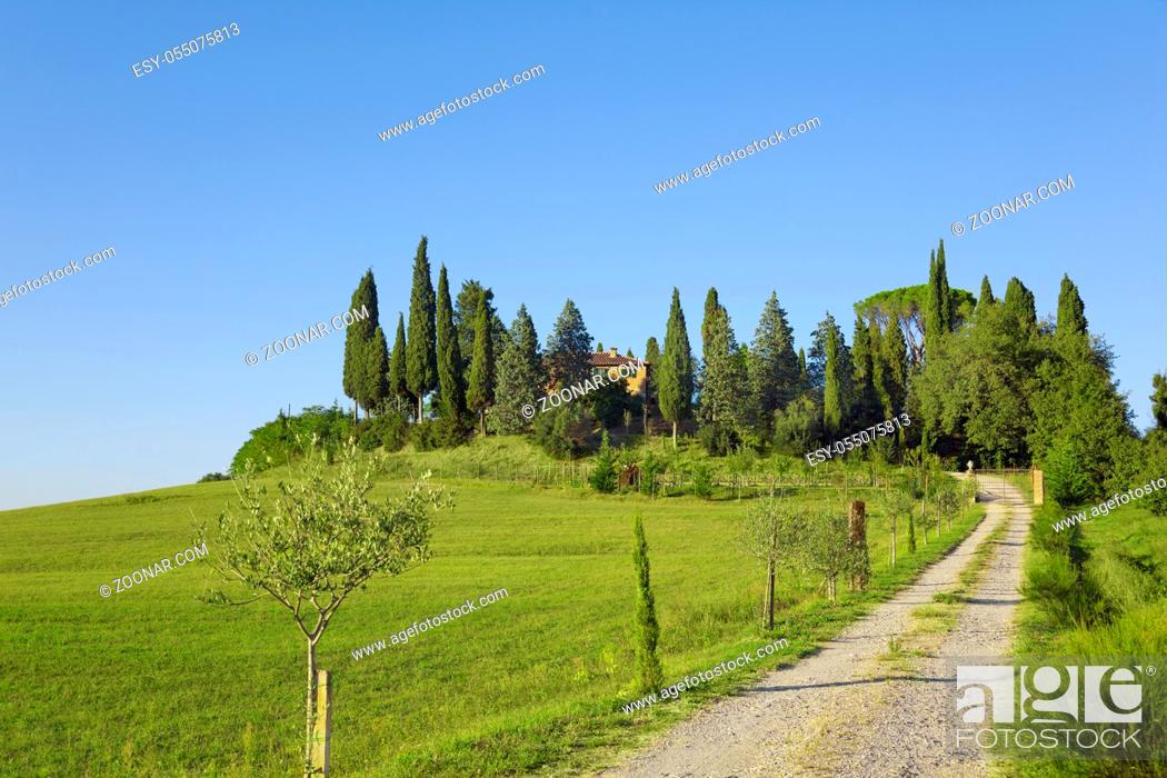 Stock Photo: Schönes Toskana-Panorama, in der Nähe von Montepulciano, Italien.