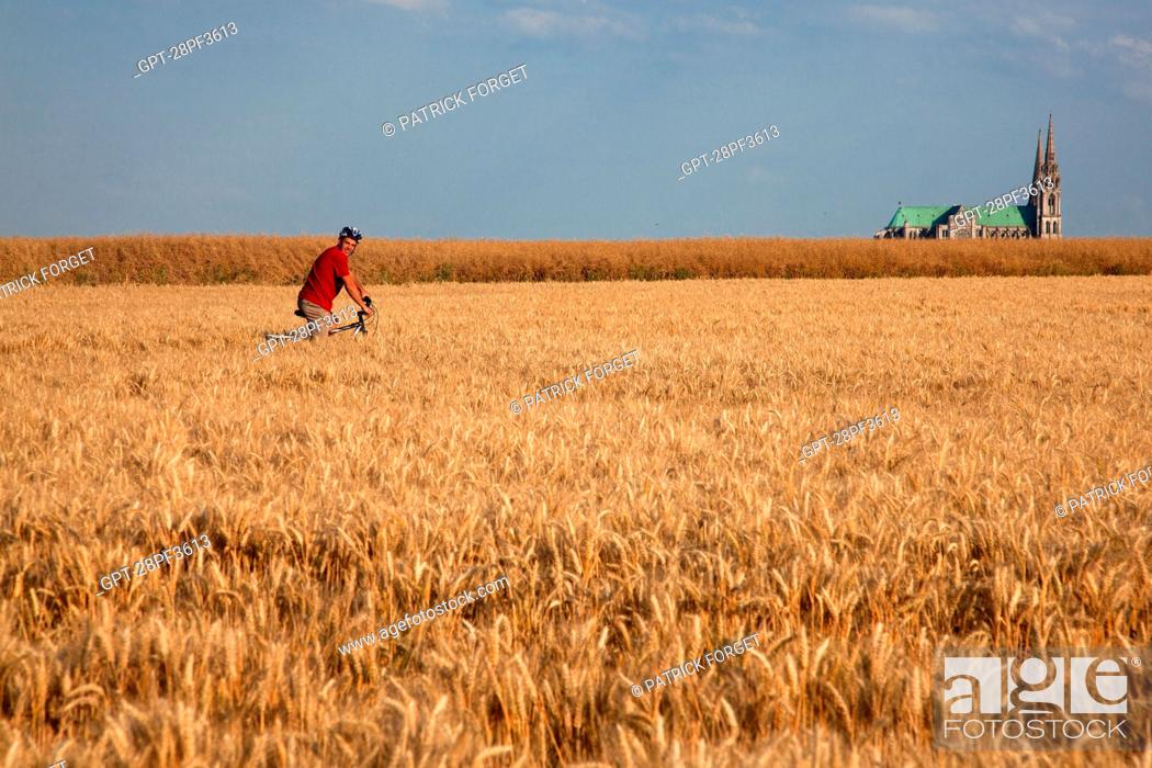 Stock Photo: BICYCLE TOURISTS IN A WHEAT FIELD NEAR THE CHARTRES CATHEDRAL, EURE-ET-LOIR 28, FRANCE.